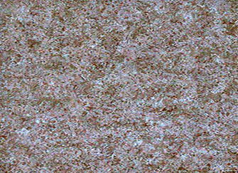 裝修材料清單 裝修材料大全 裝修材料價格 第19頁 齊裝網(wǎng)資訊