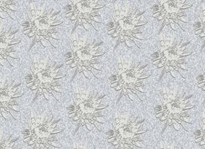 十一裝修去哪兒 學(xué)會(huì)了這些裝修材料計(jì)算公式,去哪兒都不會(huì)超預(yù)算